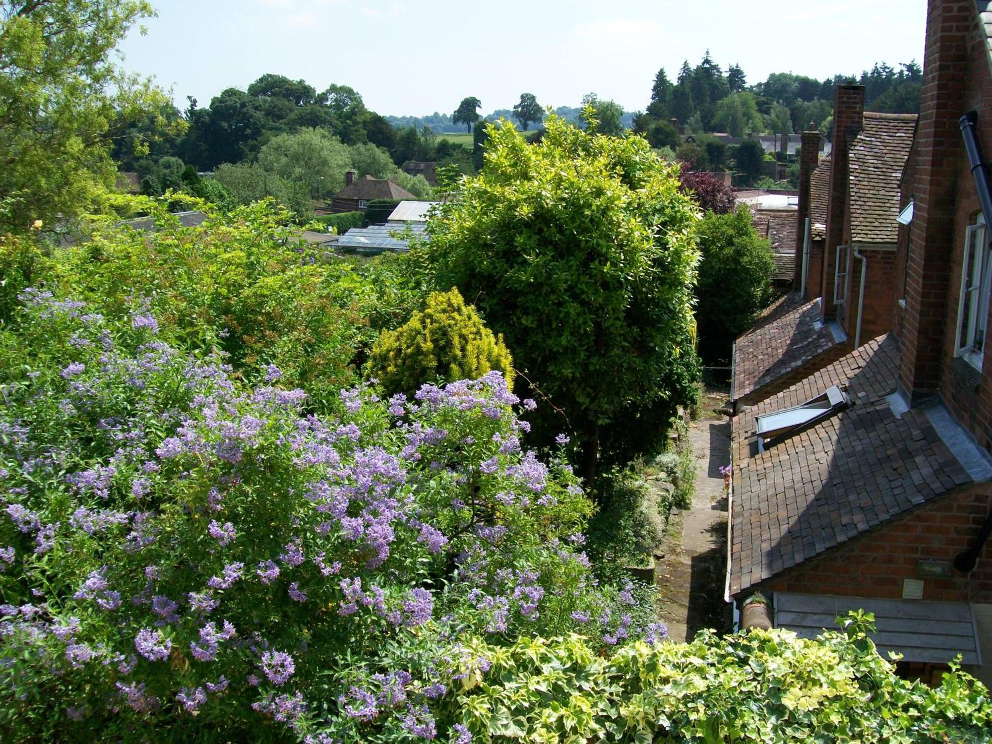 Frog Cottage, Ludlow - A Charming Townhouse For 4 Экстерьер фото